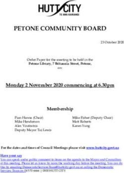 PETONE COMMUNITY BOARD - Hutt City Council meeting papers