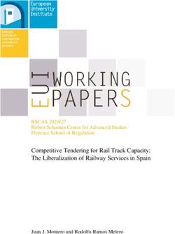 Competitive Tendering for Rail Track Capacity: The Liberalization of Railway Services in Spain - RSCAS 2020/27 Robert Schuman Centre for Advanced ...