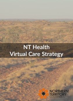 NT Health Virtual Care Strategy