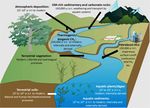 CURRENT EVIDENCE Nutritional support of inland aquatic food webs by aged carbon and organic matter - Osu