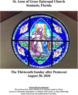 St. Anne of Grace Episcopal Church Seminole, Florida - The Thirteenth Sunday after Pentecost August 30, 2020
