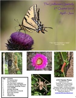 The Lindheimer Quarterly 2nd Quarter 2019 April - June