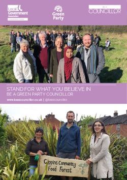 STAND FOR WHAT YOU BELIEVE IN - BE A GREEN PARTY COUNCILLOR www.beacouncillor.co.uk | @beacouncillor - Local Government ...