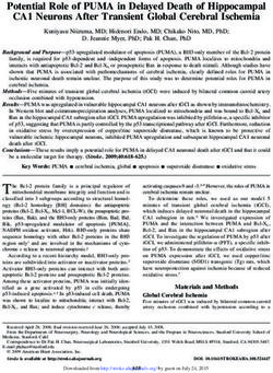 Potential Role of PUMA in Delayed Death of Hippocampal CA1 Neurons After Transient Global Cerebral Ischemia