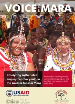 Catalyzing sustainable employment for youth in the Greater Maasai Mara