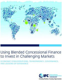 Using Blended Concessional Finance to Invest in Challenging Markets - ECONOMIC CONSIDERATIONS, TRANSPARENCY, GOVERNANCE, AND LESSONS OF EXPERIENCE