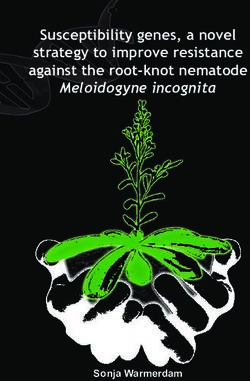 Susceptibility genes, a novel strategy to improve resistance against the root-knot nematode - Meloidogyne incognita - WUR E-depot