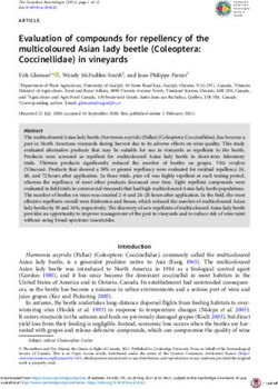 Evaluation of compounds for repellency of the multicoloured Asian lady beetle (Coleoptera: Coccinellidae) in vineyards