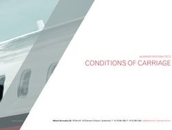 CONDITIONS OF CARRIAGE - ALBINATI AERONAUTICS