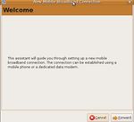 LAP100 Netbook With Integrated 3G Module User Manual v1.0