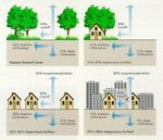 High Park Surface Water Features - Narrative - Bloor West Village Avenue Study - City of Toronto