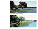 High Park Surface Water Features - Narrative - Bloor West Village Avenue Study - City of Toronto