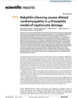 Rabphilin silencing causes dilated cardiomyopathy in a Drosophila model of nephrocyte damage - Nature