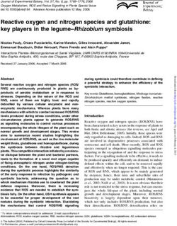 Reactive oxygen and nitrogen species and glutathione: key players in the legume-Rhizobium symbiosis