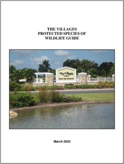THE VILLAGES PROTECTED SPECIES OF WILDLIFE GUIDE - March 2022