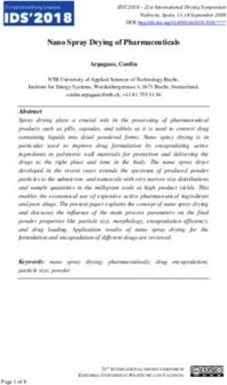 Nano Spray Drying of Pharmaceuticals - NTB Buchs