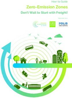 Zero-Emission Zones Don't Wait to Start with Freight! - Transport Decarbonisation ...