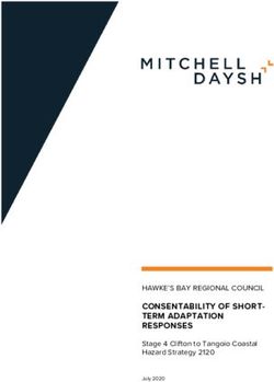 CONSENTABILITY OF SHORT- TERM ADAPTATION RESPONSES - HAWKE'S BAY REGIONAL COUNCIL Stage 4 Clifton to Tangoio Coastal Hazard Strategy 2120 - HB Coast