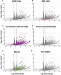 TBSAP IS A NOVEL CHROMATIN PROTEIN REPRESSING METACYCLIC VARIANT SURFACE GLYCOPROTEIN EXPRESSION SITES IN BLOODSTREAM FORM TRYPANOSOMABRUCEI