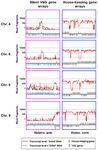 TBSAP IS A NOVEL CHROMATIN PROTEIN REPRESSING METACYCLIC VARIANT SURFACE GLYCOPROTEIN EXPRESSION SITES IN BLOODSTREAM FORM TRYPANOSOMABRUCEI