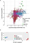 TBSAP IS A NOVEL CHROMATIN PROTEIN REPRESSING METACYCLIC VARIANT SURFACE GLYCOPROTEIN EXPRESSION SITES IN BLOODSTREAM FORM TRYPANOSOMABRUCEI