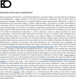 Description of the major accomplishment - Elena Ostanel