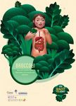How Healthy Food Works - International Chefs Day 20 October 2019 Chefs Toolkit