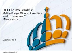 SEI Forums Frankfurt Making Energy Efficiency Investible - what do banks need? M&uuml;nchenerHyp