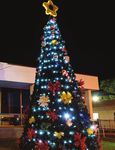 Sarina Neighbourhood News - Mackay Regional Council