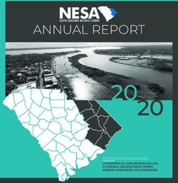 20 20 North Eastern Strategic Alliance