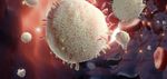 Externally Sponsored Research Handbook Oncology