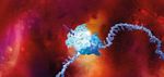 Externally Sponsored Research Handbook Oncology