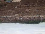 Identification of heavy metals source within selected active dumpsites in southeastern Nigeria
