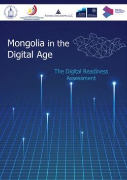 MONGOLIA IN THE DIGITAL AGE ACCESS SOLUTIONS LLC