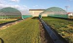 SPORT Barenbrug Sport Grass Seed
