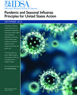 Pandemic and Seasonal Influenza Principles for United States Action