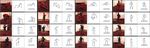 BoneNet: Real-time 3D Human Pose Estimation By Generating Multiple Hypotheses with Bone-map Representation