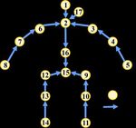 BoneNet: Real-time 3D Human Pose Estimation By Generating Multiple Hypotheses with Bone-map Representation