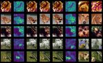 Exploring Vision Transformers for Fine-grained Classification