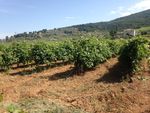 Greece The Peloponnese October 3 - 10, 2021 - Iberian Wine Tours