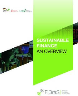 SUSTAINABLE FINANCE AN OVERVIEW - GIZ