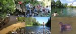 A compelling case for change - Waikato Sub-Regional Three Waters Strategic Business Case - Future Proof