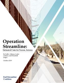Operation Streamline: Estimated Costs for Tucson, Arizona By Kathy Altman, Leslie Carlson, and Elizabeth Jaeger October 2019 - End Streamline