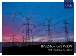 INVESTOR OVERVIEW Post Third Quarter 2018 - Hydro One